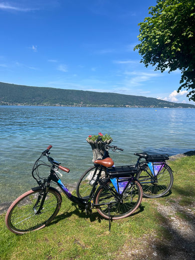 Vélos éléctriques