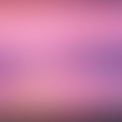 【製作實績】新增花花はな_獸型