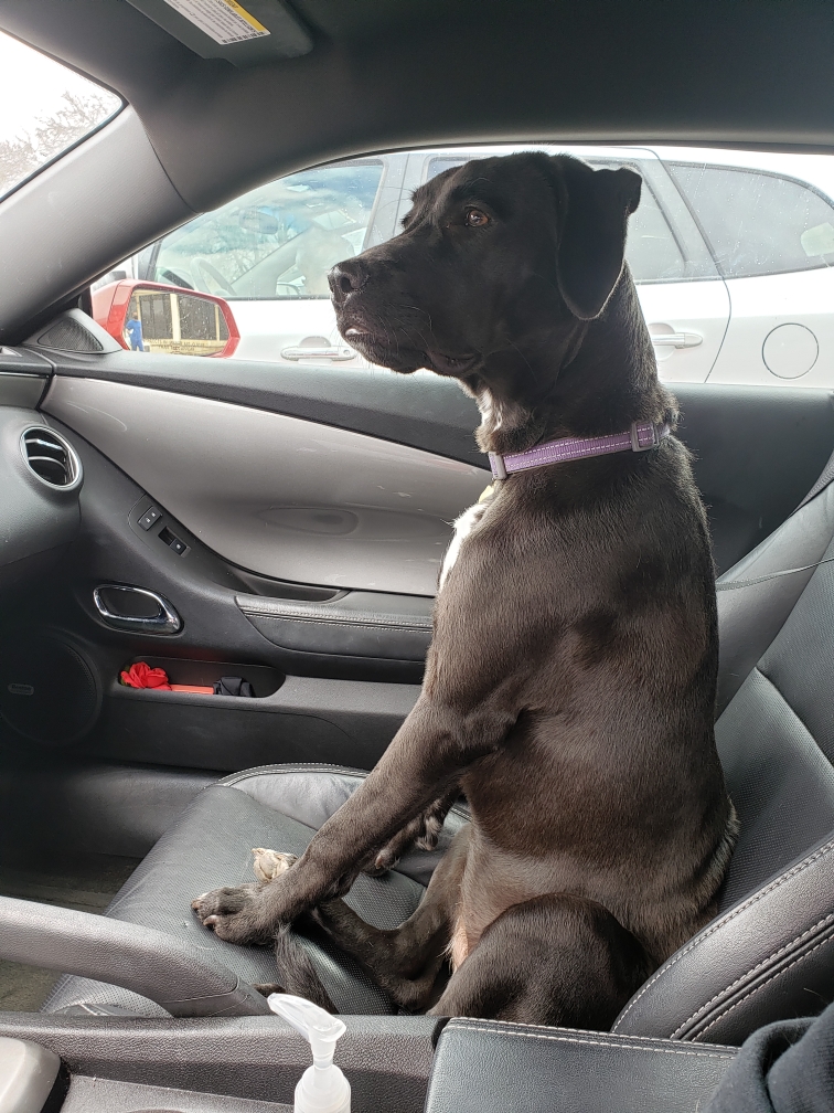 Writer: jesusnieves1902