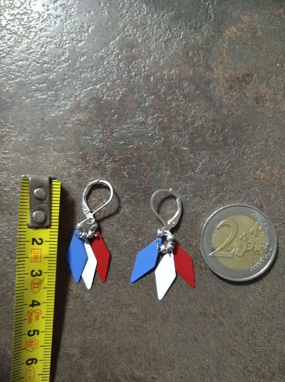 Miniature : Bleu blanc rouge 2