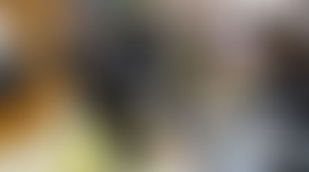 "El personal que contrato no sabe hacer las cosas"