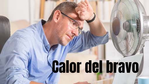 Urge una política de sombras y ahí hay una oportunidad de negocio