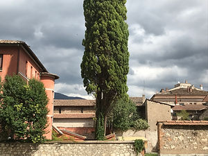 V14 (20).JPG