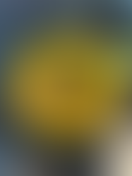 Miso Peanut Ramen with Pork Belly