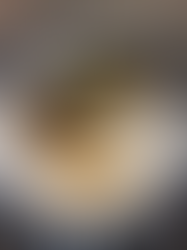 Crab Cakes with Old Bay Mayo