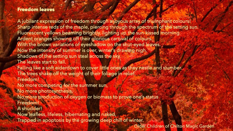 autumn leaves poem El modified.jpg
