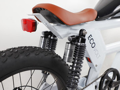 eco-e-bike-5.jpeg