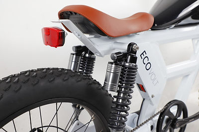 Eco E-Bike