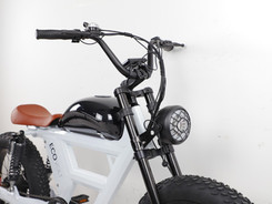 eco-e-bike-3.jpeg
