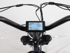 eco-e-bike-4.jpeg