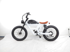 eco-e-bike-2.jpeg