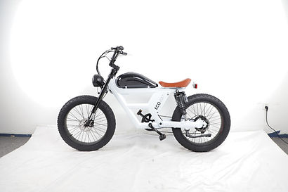 Eco E-Bike