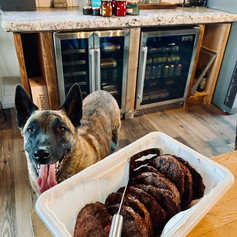 BBQ for Dogs