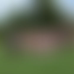 The lucky few that were able to attend