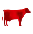 Jackaroo Angus Stud: IDEXX Distributor for Alertys Pregnancy Test and BVDV Test