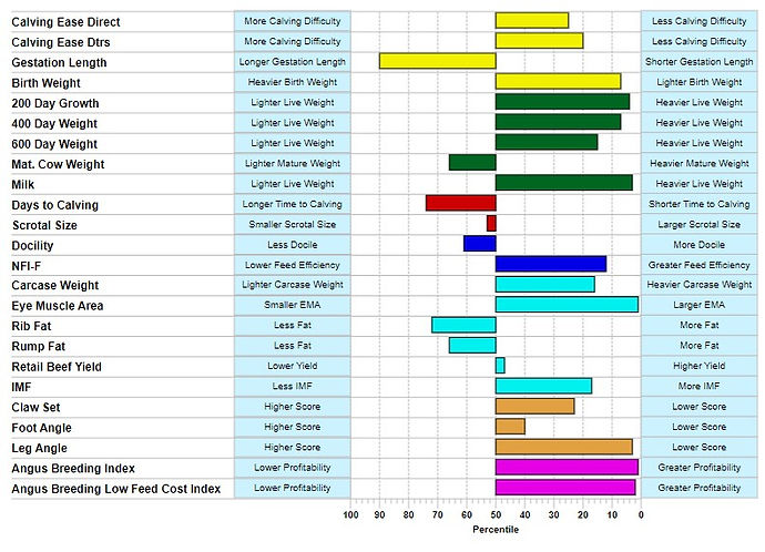 Jackaroo Angus Stud - Woodhill Comstock EBV Chart