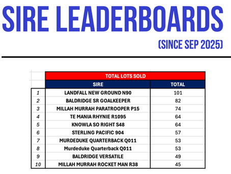 AngusAdvantage: November Edition Available Now