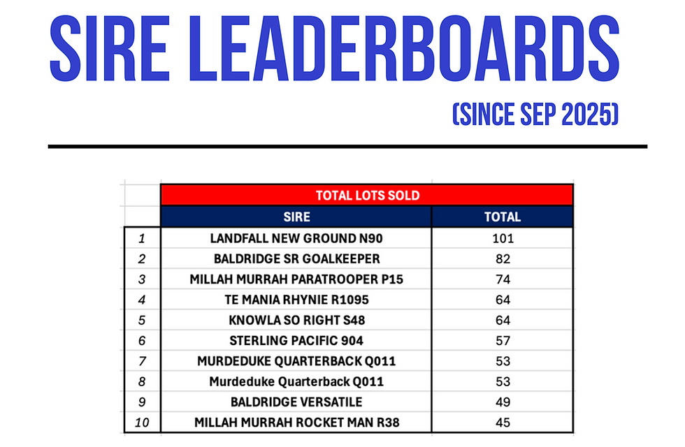 AngusAdvantage: November Edition Available Now