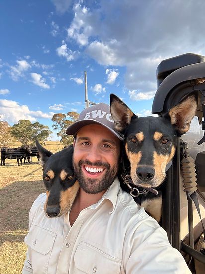 Jackaroo Angus Stud Working Dogs Kelpies Australia