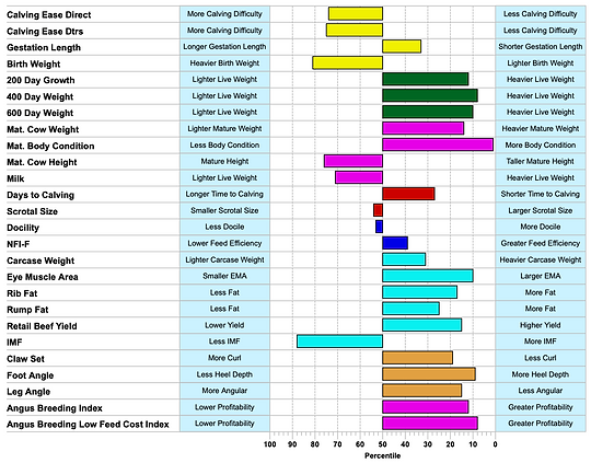 Jackaroo Angus Stud - Sitz Feat x PHV22T16 Predicted EBVs