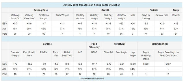 Jackaroo Angus Stud - Woodhill Comstock EBVs