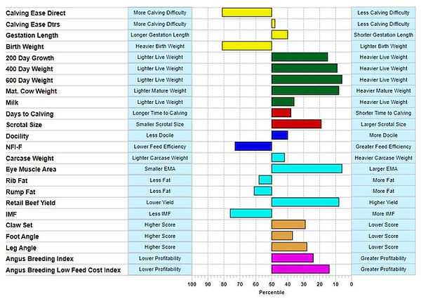 Jackaroo Angus Stud - Summit Bara U29 EBV Chart