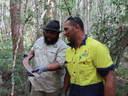 The Envite team