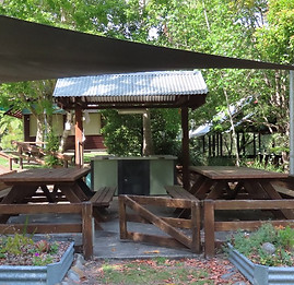 PicnicBBQ_edited.jpg