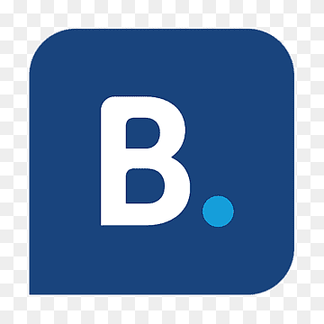 bookingin..com.png