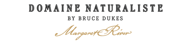 DN-logotype.png