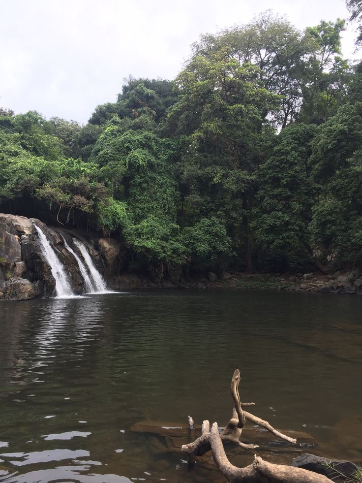 Thumbnail: Verdant Vistas: Coorg and Chikkamagalur in Harmony