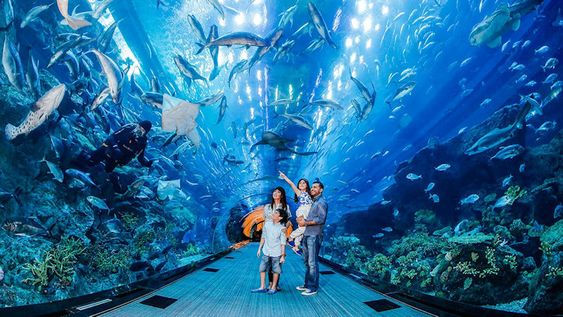 Thumbnail: Discover Dubai | Stay In Best Hotels In Dubai