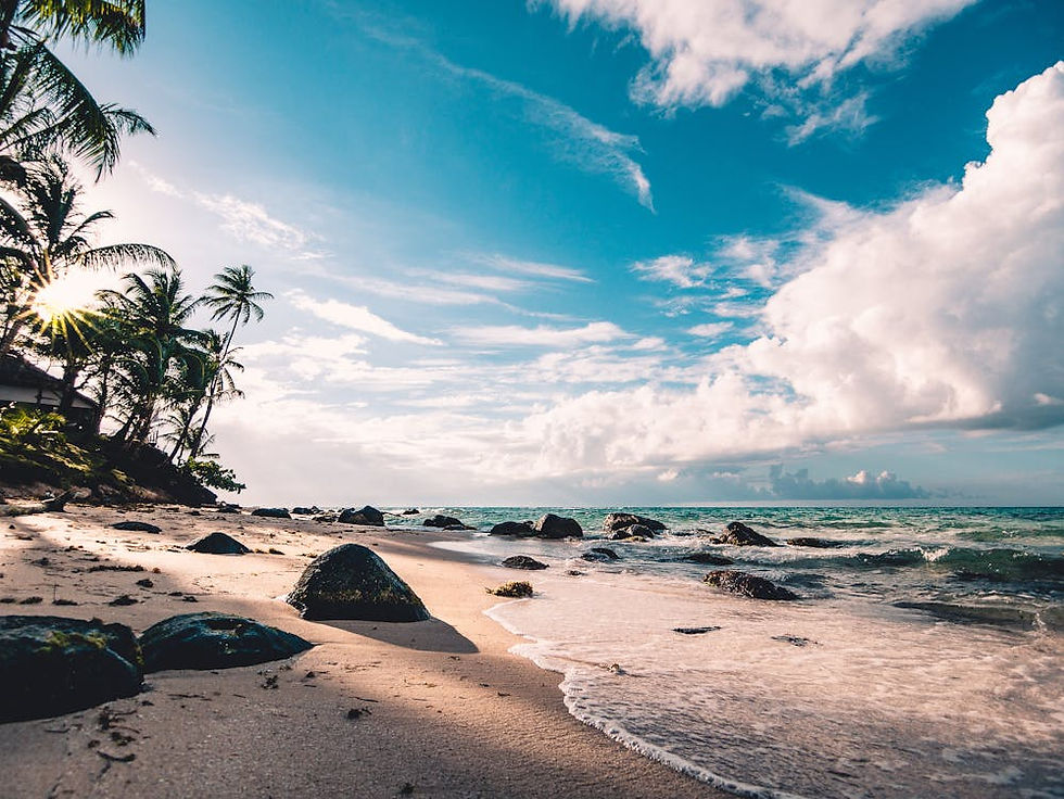 Thumbnail: Sun, Sand, and Serenity: Discover the Best of Goa