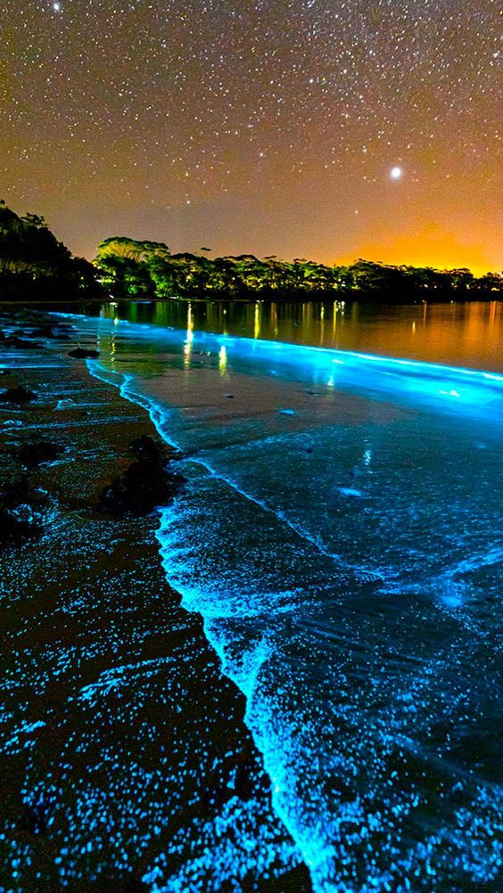 Vibrant Mauritius Package