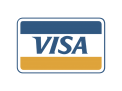 Visa Card.png