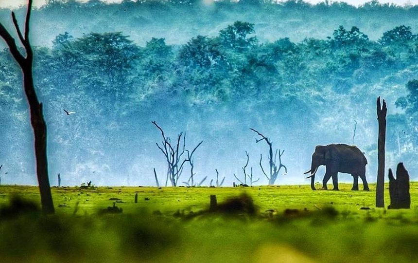 Short Tour to Kabini