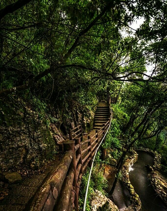 4 Days Meghalaya Budget Plan