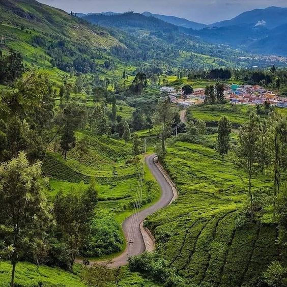 Thumbnail: Magnificent Ooty and kodaikanal holiday package for 5 days