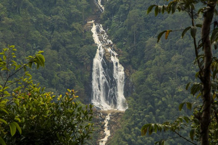 Thumbnail: Delightful Package to Wayanad for 4 days