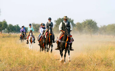 Horse Safari in Karnataka