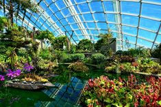 Thumbnail: Singapore Adventure: A 4-Day Exploration of Fun and Wonders
