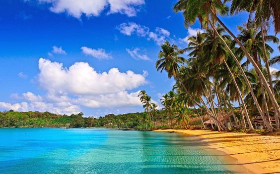 Thumbnail: Amazing Goa Vacation