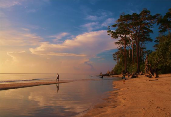 Adventuresome Andaman Tour Package