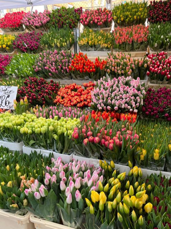 Thumbnail: Incredible Kolkata Tour package