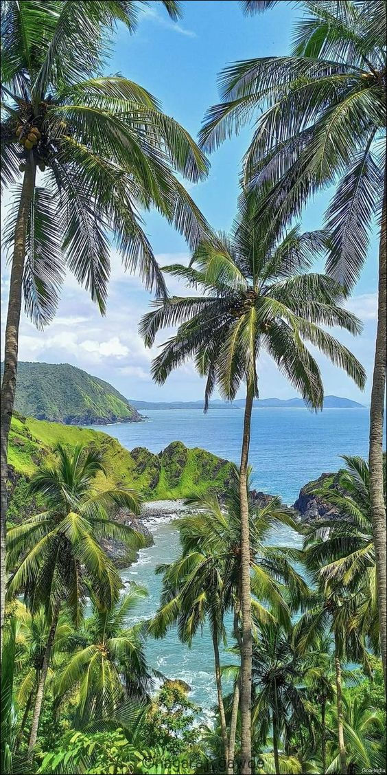 Thumbnail: Amazing Goa deal for 4 days