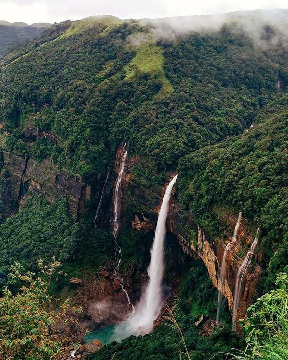 Thumbnail: Kaziaranga and Shillong tour package for 5 days