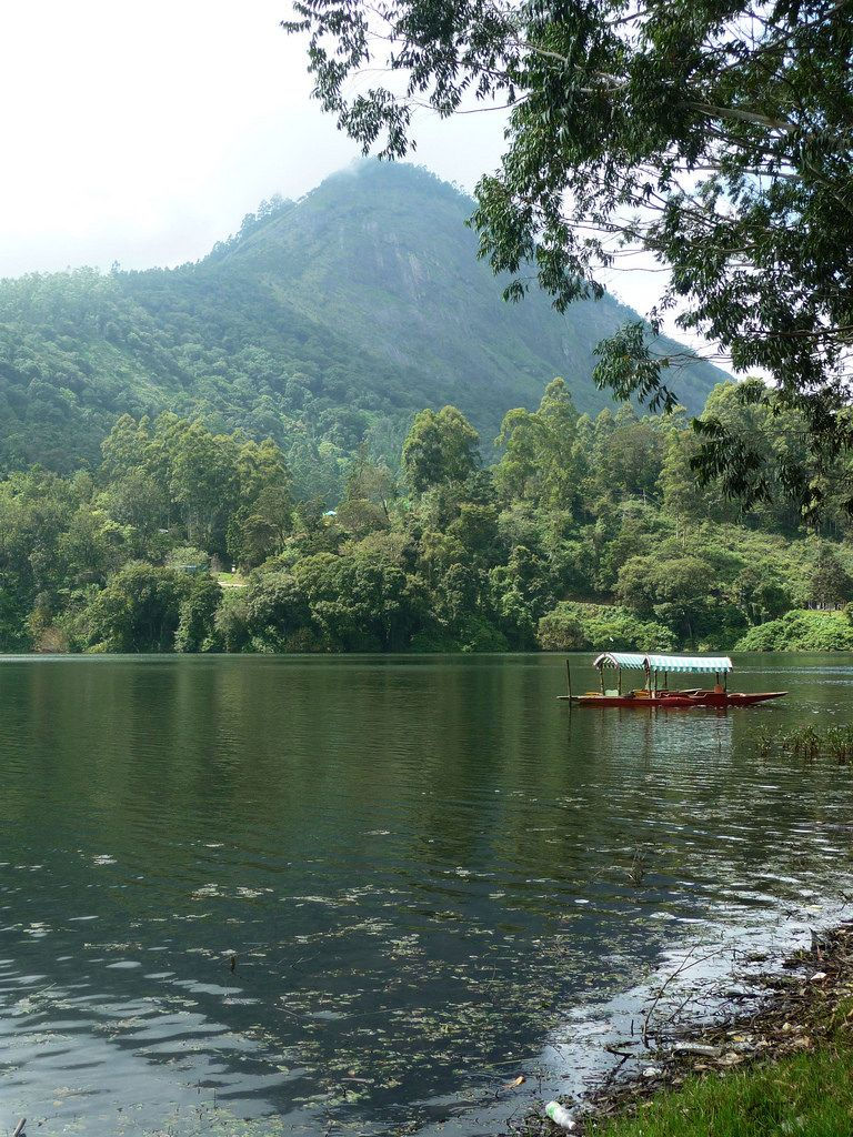 Thumbnail: Munnar, Thekkady & Alleppey: Kerala's Trio of Tranquility