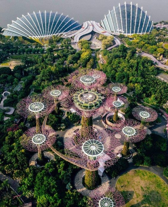 Serene singapore vacay