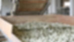 Thumbnail: Jasmine Scented Tea, Chinese Tea farm & Factory Direct Wholesale