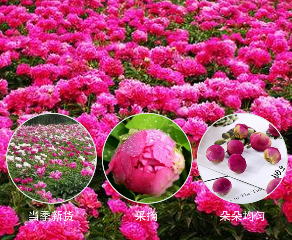 Миниатюра: Peony Tea, Chinese Herbal Tea Wholesale